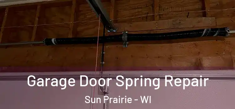  Garage Door Spring Repair Sun Prairie - WI