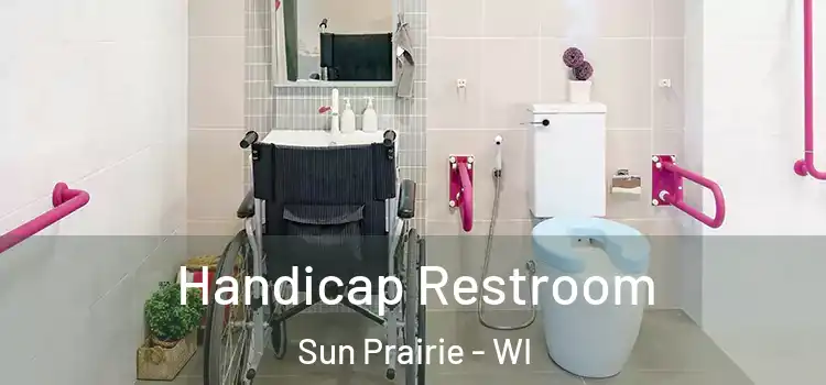  Handicap Restroom Sun Prairie - WI