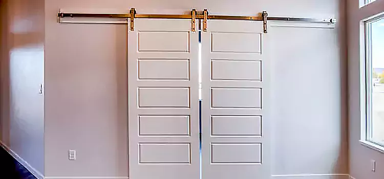 Glass Barn Door with Installation Hardware Kit Sun Prairie