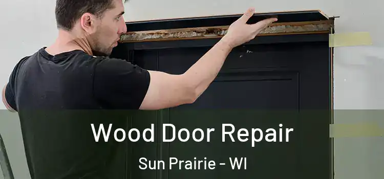  Wood Door Repair Sun Prairie - WI